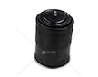 Mech, pneumaticke odpruzeni   1R13-753-PR