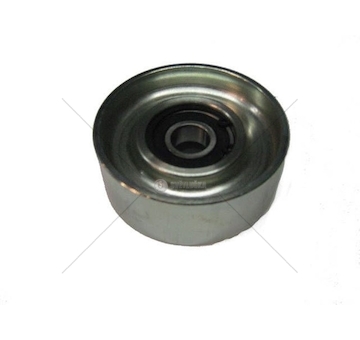 Kladka napínací  IVECO,DAF  BYT-T058R