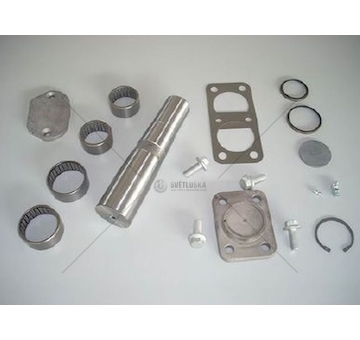 Sada opravárenská svislého čepu IVECO GENISIO G-1013