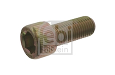 Sroub, kryt naboje FEBI BILSTEIN 01202