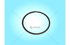 Kruhové těsnění potrubí výfuku VOLVO TZERLI 1677227/Z