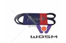 Řemen rozvodový VOLVO 8PK1055 WOSIMAN A-176-5