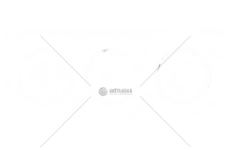 Sada pístních kroužků KOLBENSCHMIDT 800014610000