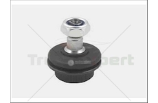 SWORZEN WIDELEK SPRZEGLA MAN  21144007