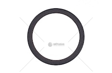 Těsnicí kroužek hřídele, klikový hřídel RVI 5010295831