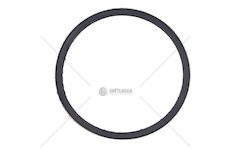 USZCZ.TERMOSTATU RVI MAGNUM DXI WOSIMAN G-309-2