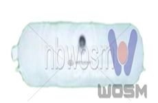 Vyrovnávací nádobka chladící kapaliny expanzní SCANIA BUS WOSIMAN C-394